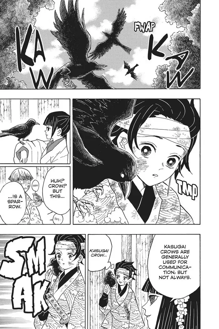 Demon Slayer - Chapter 8 - Page 19