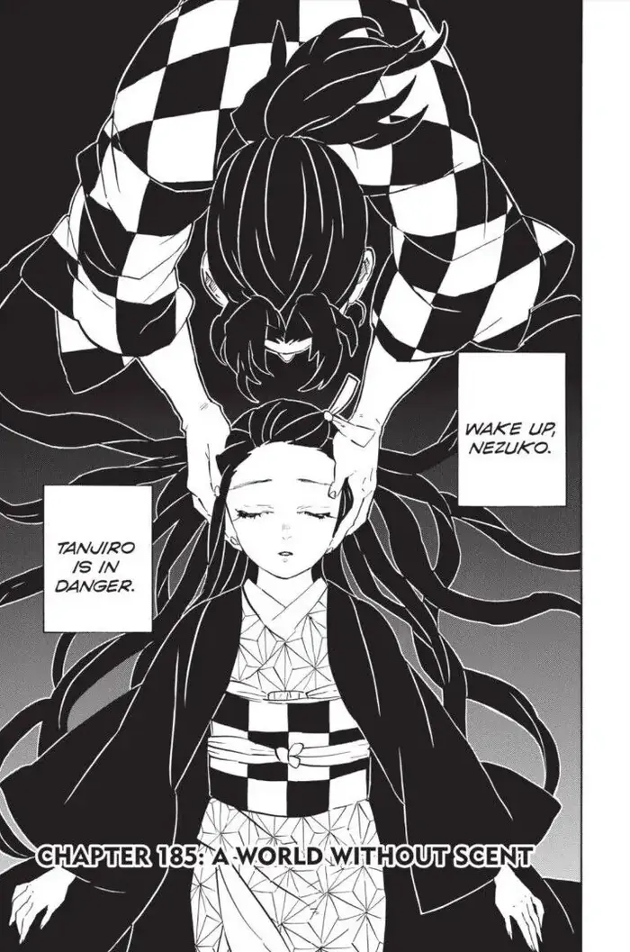 Demon Slayer - Chapter 185 - Page 1