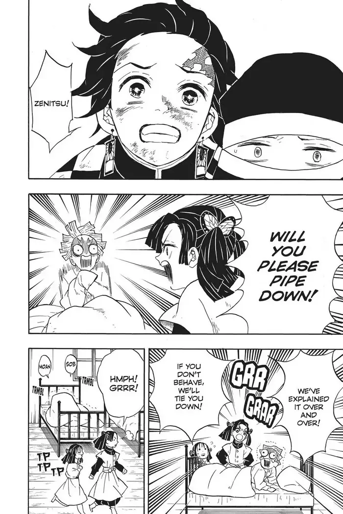 Demon Slayer - Chapter 48 - Page 12