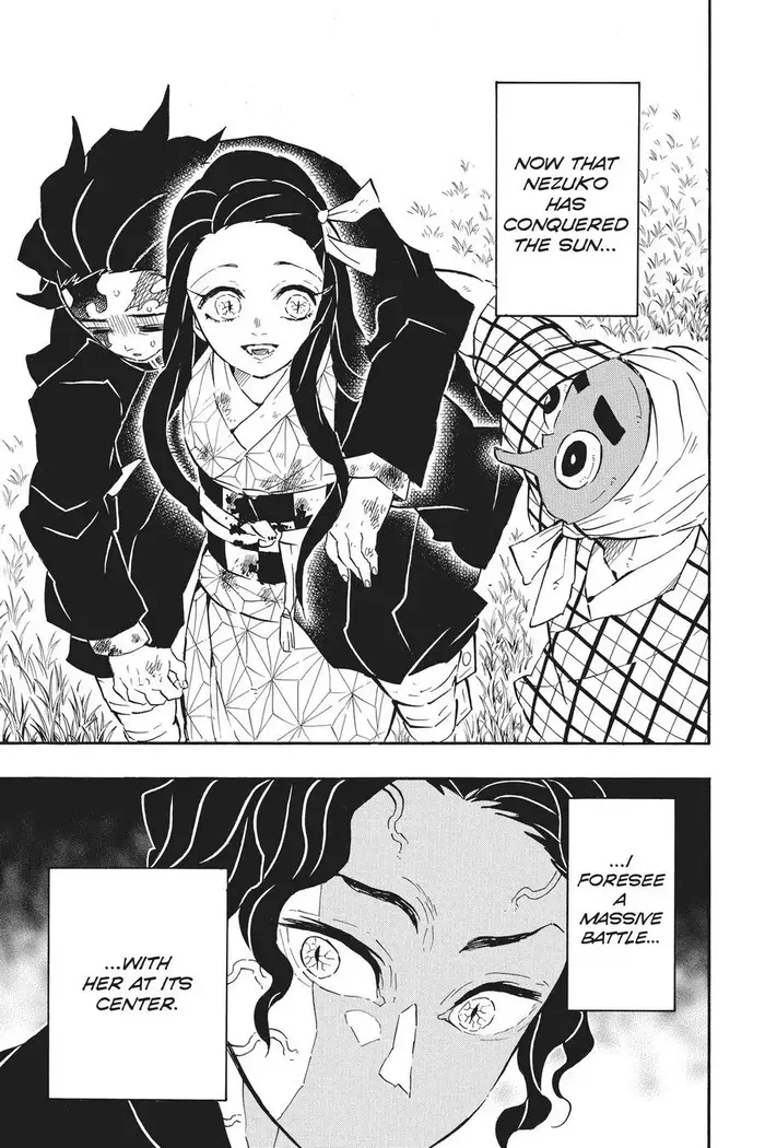 Demon Slayer - Chapter 127 - Page 17