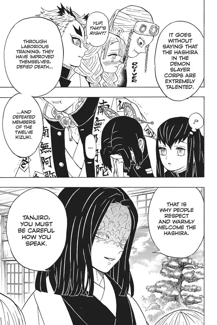 Demon Slayer - Chapter 47 - Page 17