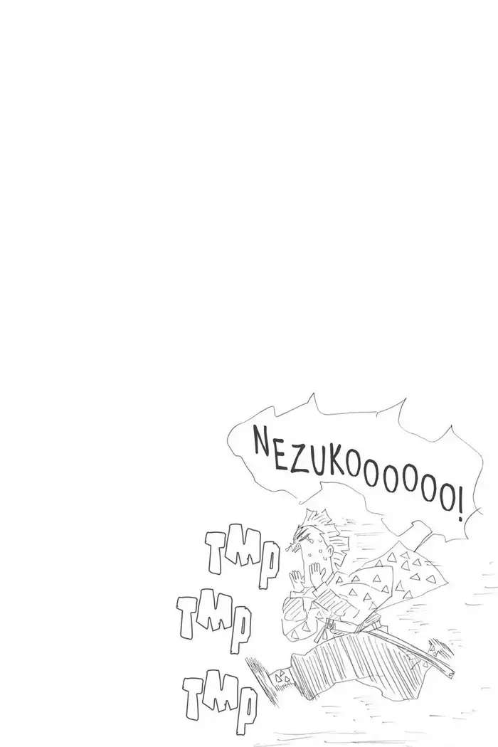 Demon Slayer - Chapter 29 - Page 20