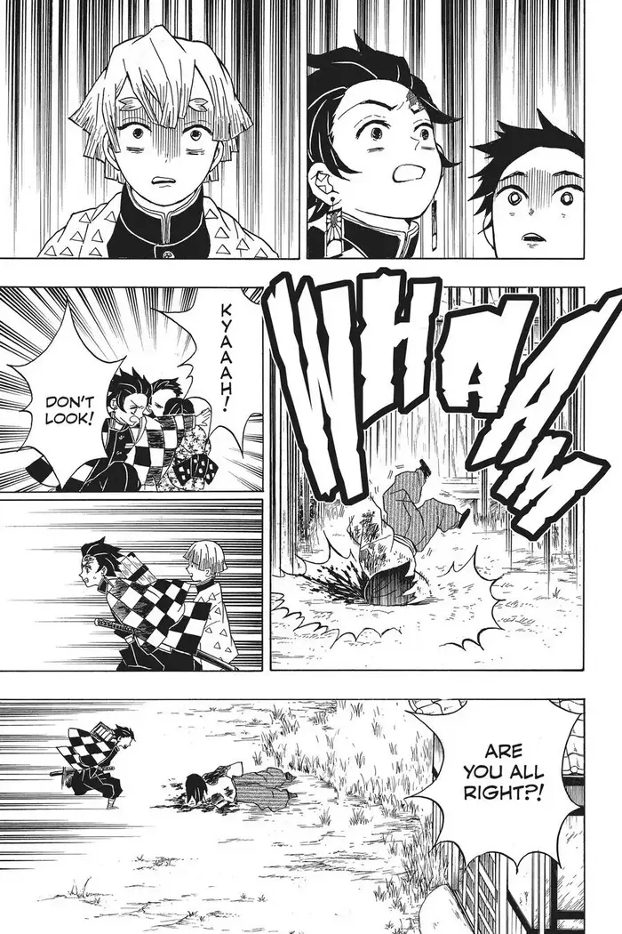 Demon Slayer - Chapter 20 - Page 17