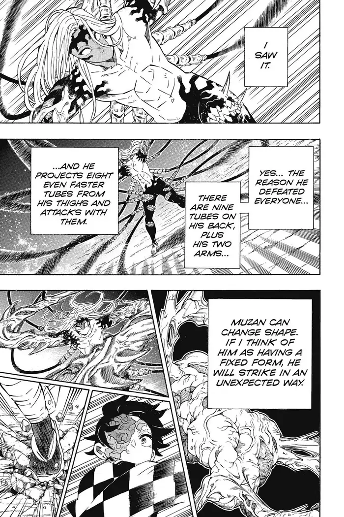 Demon Slayer - Chapter 192 - Page 17