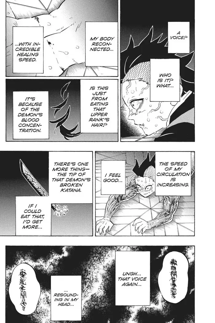 Demon Slayer - Chapter 171 - Page 3