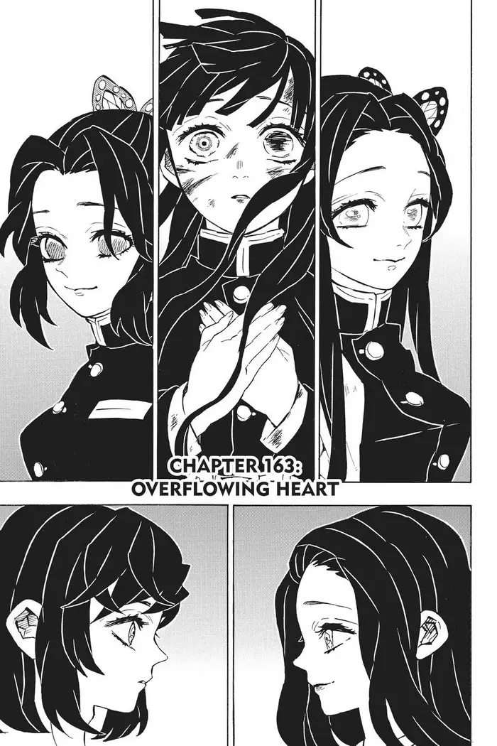Demon Slayer - Chapter 163 - Page 1
