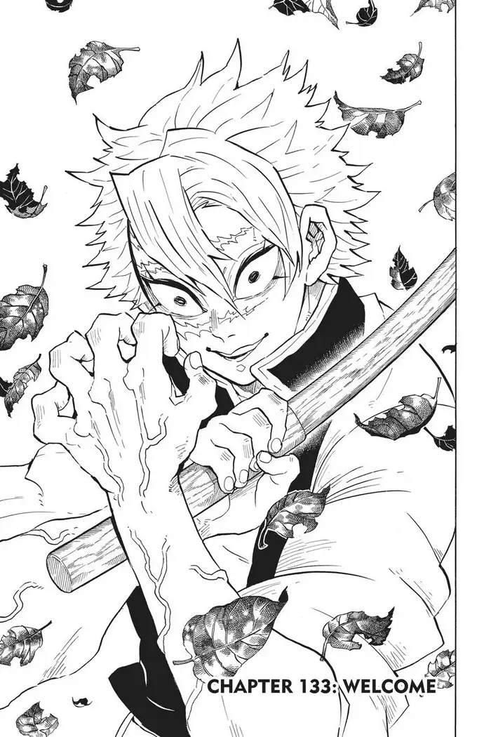Demon Slayer - Chapter 133 - Page 1