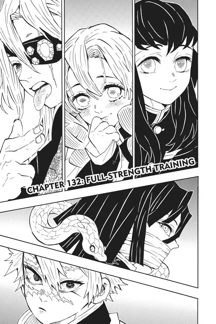 Demon Slayer - Chapter 132 - Page 1