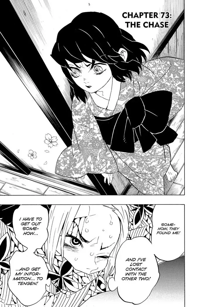 Demon Slayer - Chapter 73 - Page 1