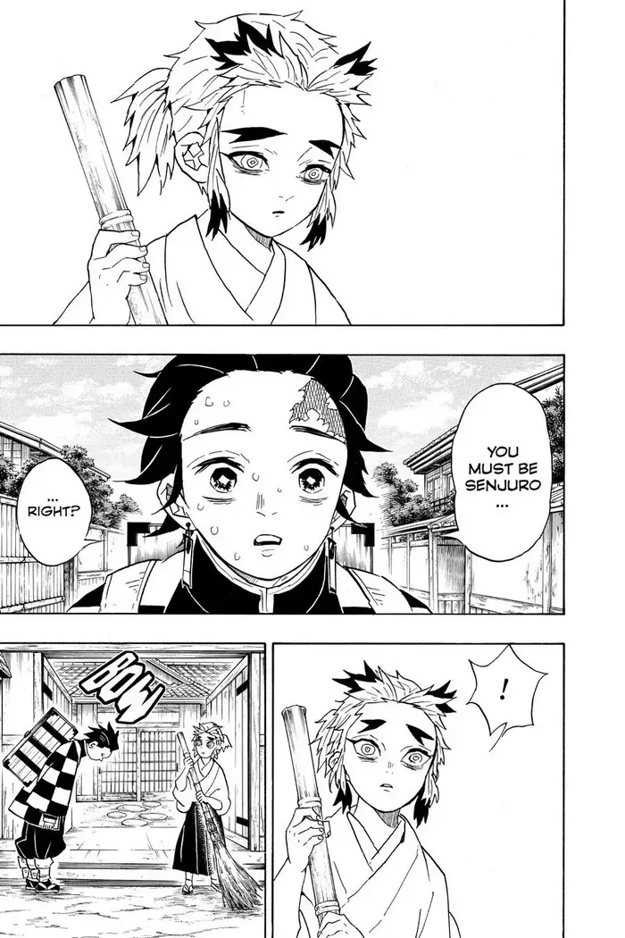 Demon Slayer - Chapter 67 - Page 17