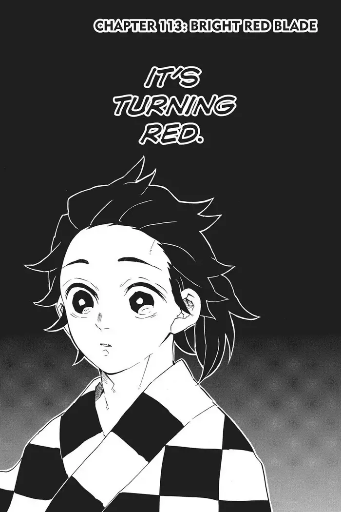 Demon Slayer - Chapter 113 - Page 1