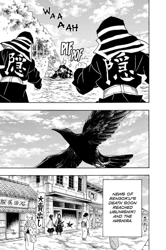Demon Slayer - Chapter 66 - Page 17